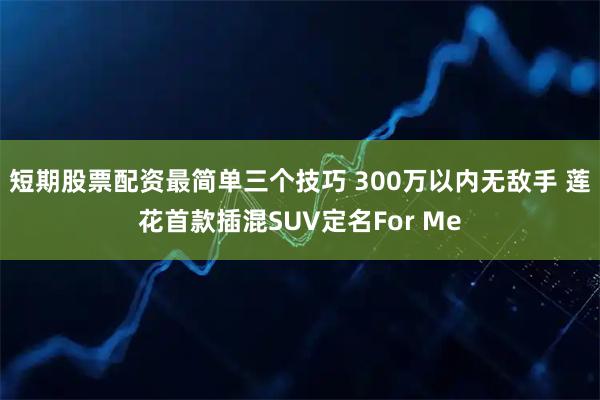 短期股票配资最简单三个技巧 300万以内无敌手 莲花首款插混SUV定名For Me