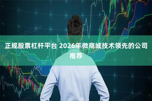 正规股票杠杆平台 2026年微商城技术领先的公司推荐