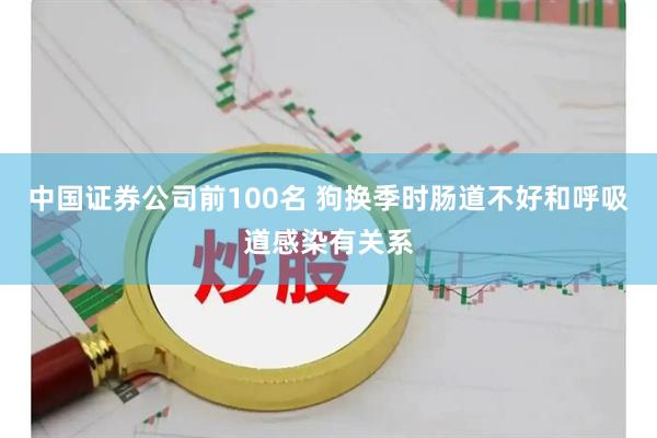 中国证券公司前100名 狗换季时肠道不好和呼吸道感染有关系